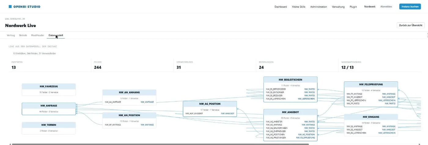 Der Reiter Datenmodell einer Instanz: Kennzahlen und ein gezeichnetes Beziehungsdiagramm der Entitäten.